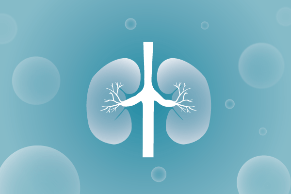 泌尿系統(tǒng)，腎臟，膀胱，尿病，腎不好遺傳病、基因病、罕見病的基因解碼，基因檢測，基因篩查與分子診斷