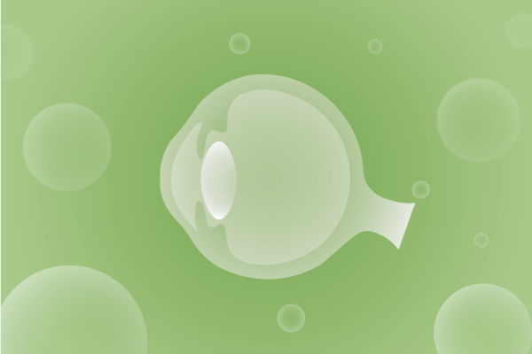 眼科，視光中心，眼科診所，眼睛相關(guān)遺傳病、基因病、罕見病的基因解碼，基因檢測，基因篩查與分子診斷