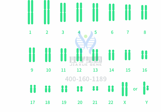 【佳學基因檢測】做多發(fā)性骨髓瘤易位1114型基因解碼、<a  data-cke-saved-href=http://www.sushiinoueharlem.com/tk/jiema/cexujishu/2021/31933.html href=http://www.sushiinoueharlem.com/tk/jiema/cexujishu/2021/31933.html>基因檢測</a>需要多少錢？