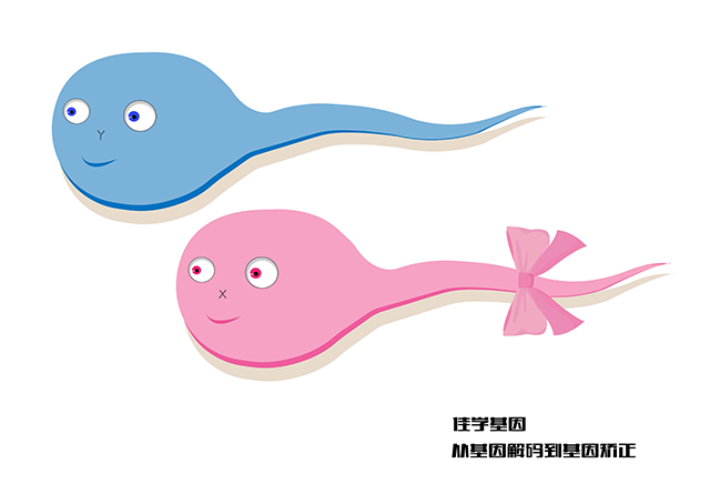 甲苯磺酸溴芐乙銨藥物<a href=http://www.sushiinoueharlem.com/tk/jiema/cexujishu/2021/31933.html>基因檢測(cè)</a>