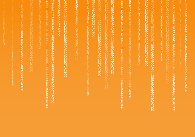 【佳學(xué)基因檢測】如何做視-隔發(fā)育不良基因解碼、<a href=http://www.sushiinoueharlem.com/tk/jiema/cexujishu/2021/31933.html>基因檢測</a>？