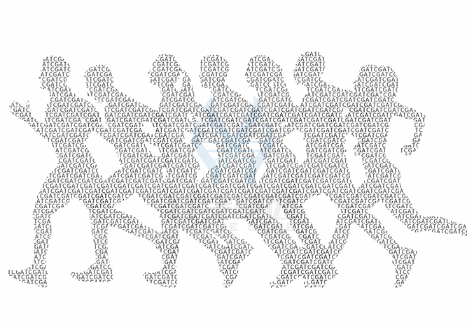 賜福美仙藥物<a href=http://www.sushiinoueharlem.com/tk/jiema/cexujishu/2021/31933.html>基因檢測</a>