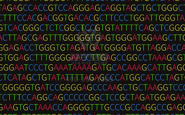 【佳學(xué)基因檢測】多發(fā)性乳腺纖維瘤基因解碼、<a href=http://www.sushiinoueharlem.com/tk/jiema/cexujishu/2021/31933.html>基因檢測</a>的報告有人解讀嗎？