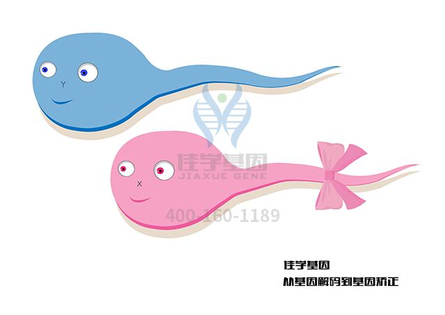 【佳學(xué)基因檢測】怎樣選擇A型尼曼-皮克病基因解碼、<a href=http://www.sushiinoueharlem.com/tk/jiema/cexujishu/2021/31933.html>基因檢測</a>？