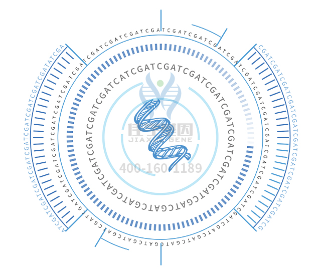 【佳學基因檢測】做Bj?rnstad綜合征基因解碼、<a  data-cke-saved-href=http://www.sushiinoueharlem.com/tk/jiema/cexujishu/2021/31933.html href=http://www.sushiinoueharlem.com/tk/jiema/cexujishu/2021/31933.html>基因檢測</a>方便嗎？