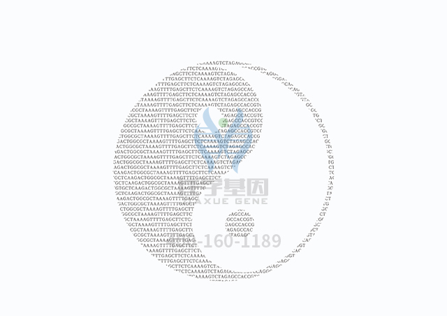 【佳學(xué)基因檢測(cè)】甲狀腺激素抵抗基因解碼、<a  data-cke-saved-href=http://www.sushiinoueharlem.com/tk/jiema/cexujishu/2021/31933.html href=http://www.sushiinoueharlem.com/tk/jiema/cexujishu/2021/31933.html>基因檢測(cè)</a>怎么預(yù)約解讀？