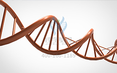 【佳學基因檢測】常染色體顯性癲癇基因解碼、<a href=http://www.sushiinoueharlem.com/tk/jiema/cexujishu/2021/31933.html>基因檢測</a>怎么預約解讀？