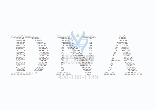 【佳學(xué)基因檢測】生精障礙10型基因解碼、<a href=http://www.sushiinoueharlem.com/tk/jiema/cexujishu/2021/31933.html>基因檢測</a>怎么預(yù)約解讀？