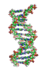 【佳學(xué)基因檢測】需要多長時間可以拿嗜睡癥7型基因解碼、<a href=http://www.sushiinoueharlem.com/tk/jiema/cexujishu/2021/31933.html>基因檢測</a>報告？