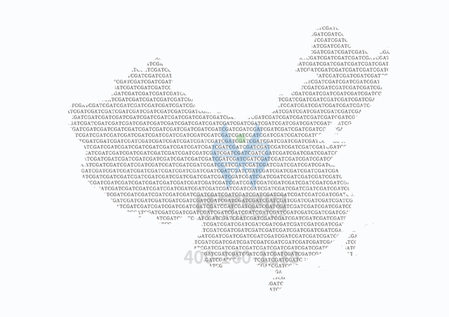 【佳學(xué)基因檢測(cè)】SDHB相關(guān)疾病基因解碼、<a href=http://www.sushiinoueharlem.com/tk/jiema/cexujishu/2021/31933.html>基因檢測(cè)</a>可以只做基因解碼嗎？