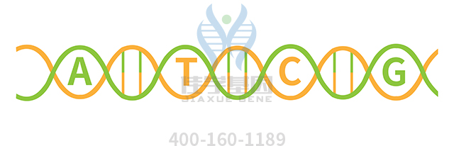 【佳學(xué)基因檢測】Townes-Brocks-branchiootorenal樣綜合征基因解碼、<a href=http://www.sushiinoueharlem.com/tk/jiema/cexujishu/2021/31933.html>基因檢測</a>可以只做基因解碼嗎？