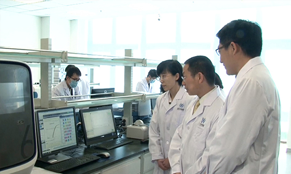 【佳學(xué)基因檢測】腦性肌皮膚脂肪瘤基因解碼、<a href=http://www.sushiinoueharlem.com/tk/jiema/cexujishu/2021/31933.html>基因檢測</a>可以只做<a href=http://www.sushiinoueharlem.com/tk/jiema/cexujishu/2021/31933.html>基因檢測</a>嗎？