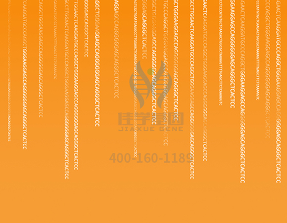 【佳學(xué)基因解碼-<a href=http://www.sushiinoueharlem.com/tk/jiema/cexujishu/2021/31933.html>基因檢測</a>】這些舉動竟讓<font color='red'>脫發(fā)</font>的女孩們重拾自信！