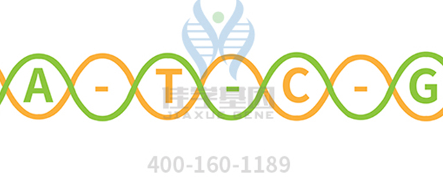 【佳學(xué)基因檢測】根本?。∟emoto disease)基因解碼、<a href=http://www.sushiinoueharlem.com/tk/jiema/cexujishu/2021/31933.html>基因檢測</a>