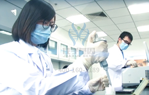 【佳學(xué)基因解碼-<a href=http://www.sushiinoueharlem.com/tk/jiema/cexujishu/2021/31933.html>基因檢測</a>】富察皇后的“體寒入骨”是怎么回事？