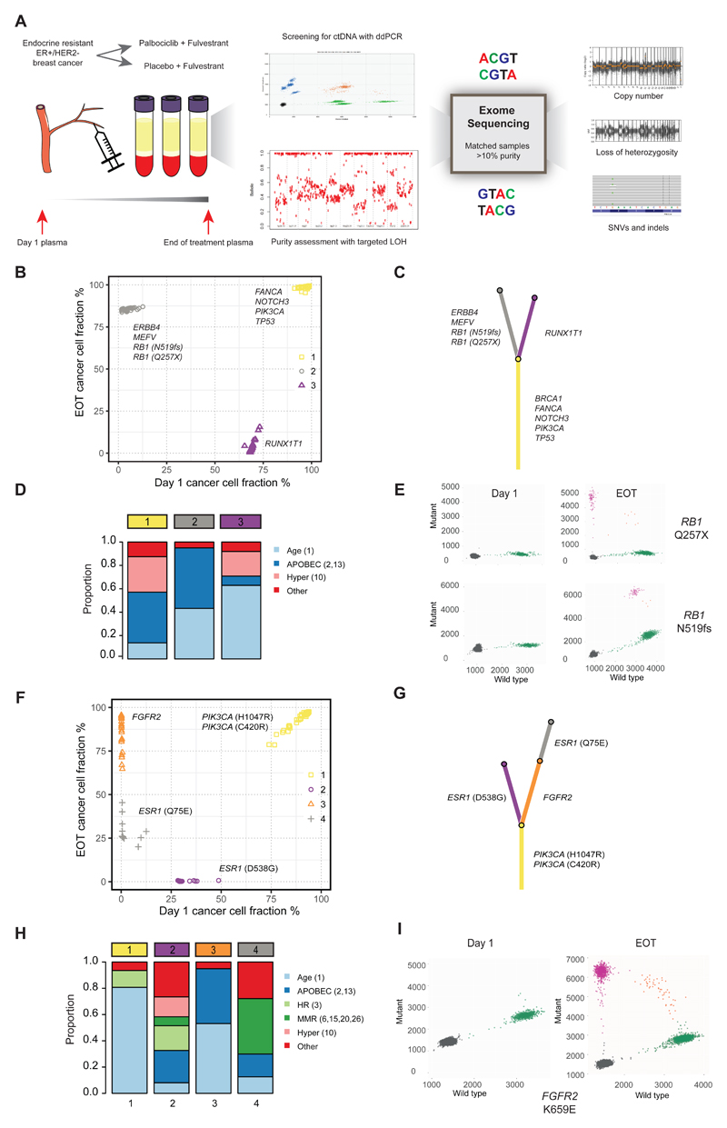 An external file that holds a picture, illustration, etc.
Object name is emss-81505-f001.jpg