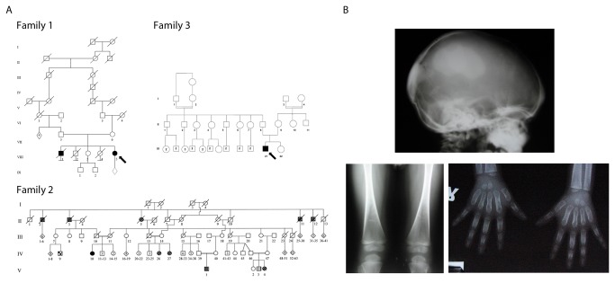 An external file that holds a picture, illustration, etc.
Object name is pone.0073576.g001.jpg