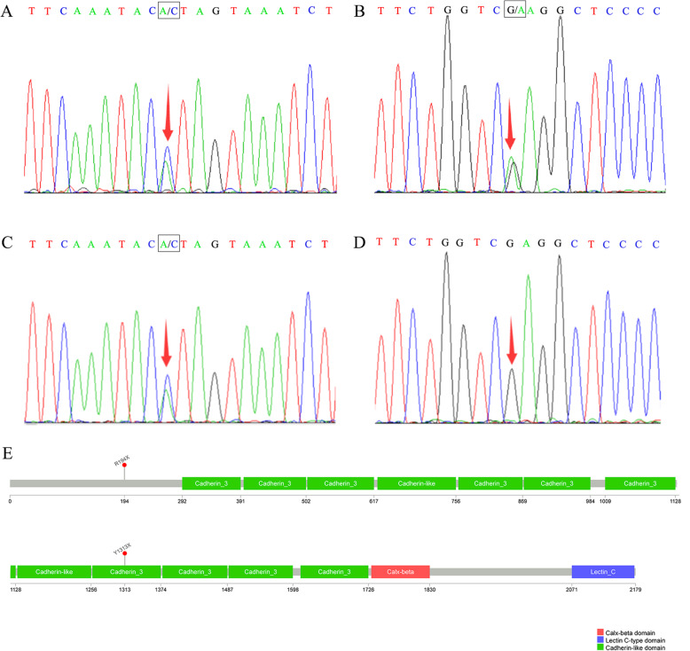 An external file that holds a picture, illustration, etc.
Object name is 12887_2021_2506_Fig2_HTML.jpg