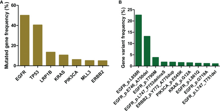 如何提高肺癌靶向藥物基因檢測的治療效果？