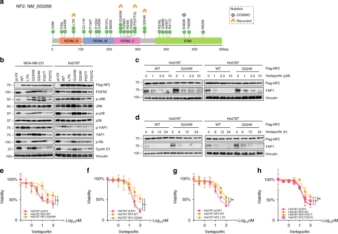 圖6醫(yī)學(xué)基因檢測(cè)如何幫助乳腺癌患者找到靶向藥物？